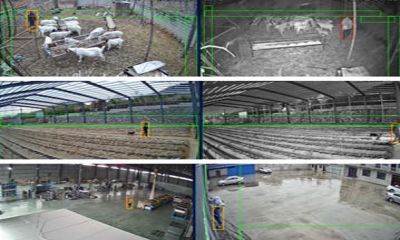 AI視頻聯(lián)網(wǎng)報(bào)警系統(tǒng)正在加大不同客戶群體中的普及