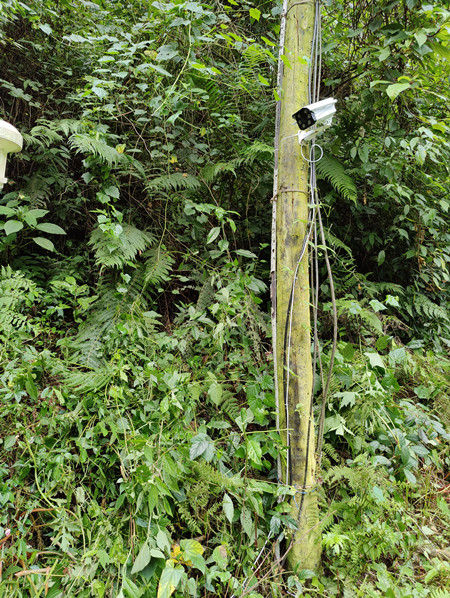 成都萬全電子|萬全電子|成都高溫橙色預(yù)警|戶外監(jiān)控攝像頭安裝 成都萬全電子|萬全電子|成都高溫橙色預(yù)警|戶外監(jiān)控攝像頭安裝