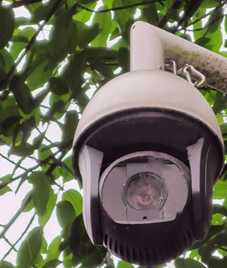 AI視頻聯(lián)網(wǎng)報(bào)警系統(tǒng)提示：湖景雖美，但請遠(yuǎn)離堤岸|峨眉山|峨秀湖|戶外監(jiān)控球機(jī)