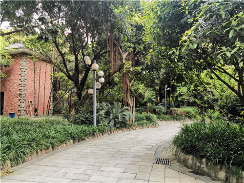 地下停車場、大型倉庫，如何解決大場景下的監(jiān)控需求