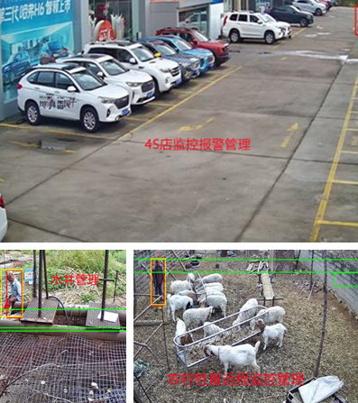 無電無網(wǎng)少人煙的野外，還想裝監(jiān)控系統(tǒng)？這不是空想