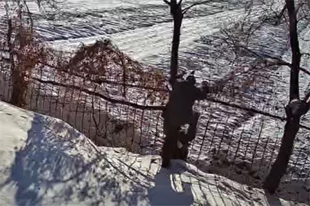 AI視頻監(jiān)控助力養(yǎng)老院監(jiān)控系統(tǒng)實(shí)現(xiàn)防止翻越圍欄管理